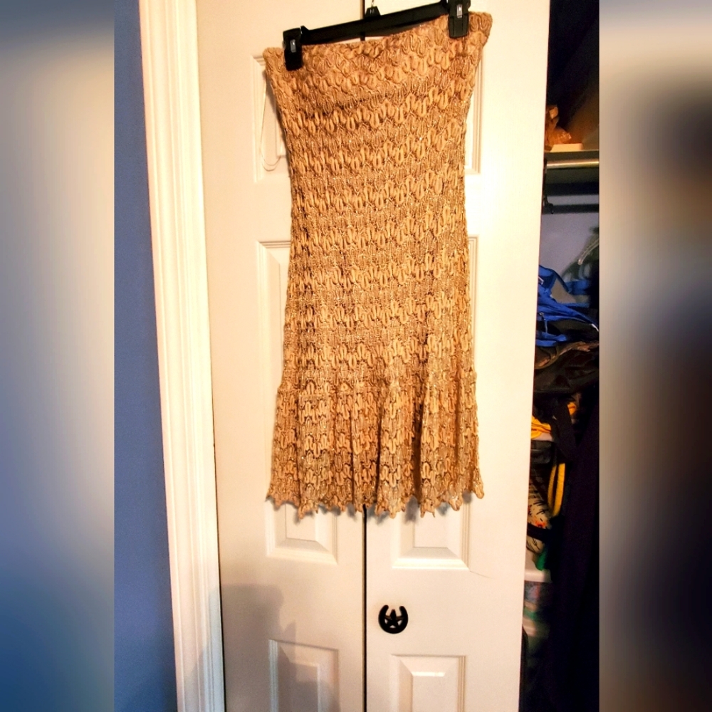 Cache Strapless Lace Dress